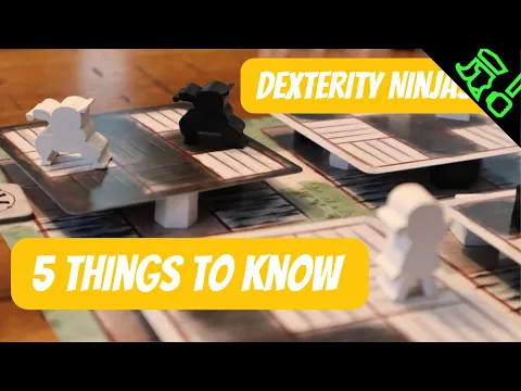 You NEED a Ninja Game In Your Collection! Floating Floors Impressions with 5 Things To Know!