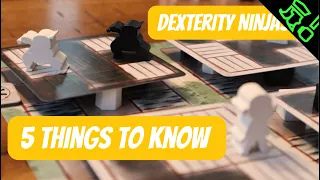 You NEED a Ninja Game In Your Collection! Floating Floors Impressions with 5 Things To Know!