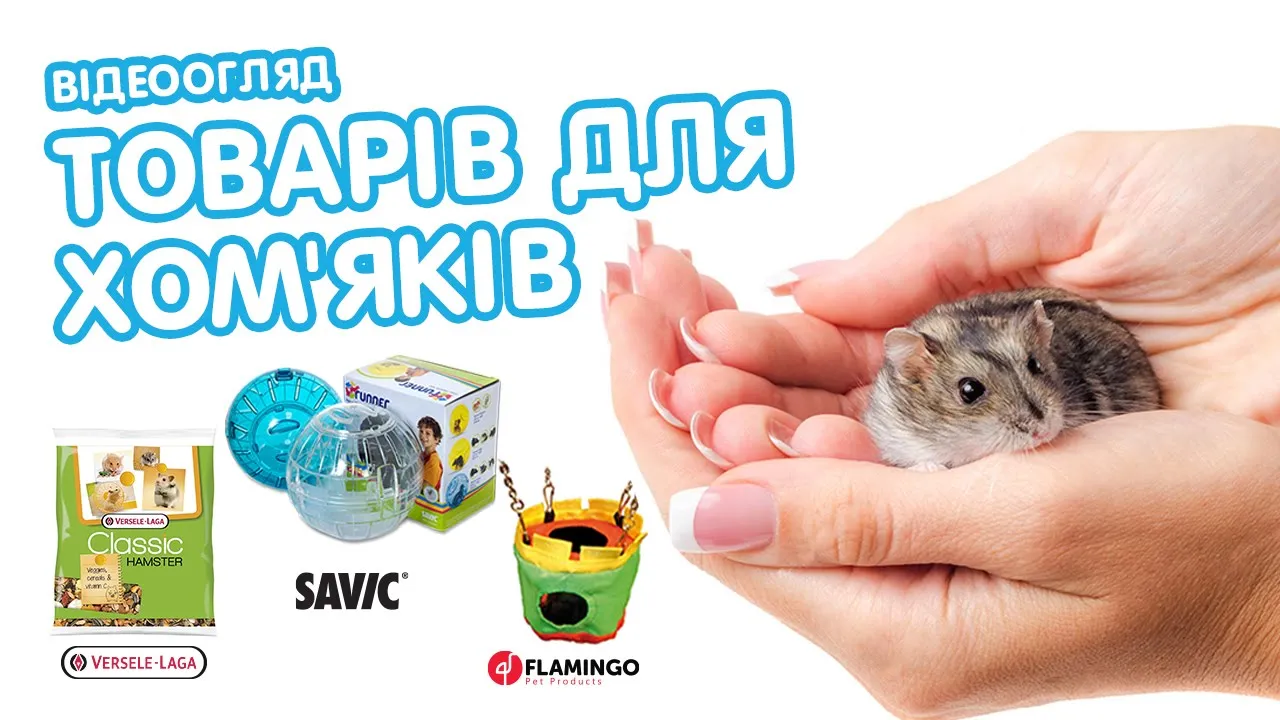 Прогулочный шар Savic Runner Small для грызунов, 12 см