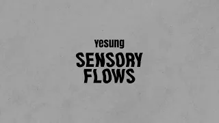 YESUNG 예성 The 1st Album [Sensory Flows] Highlight Medley