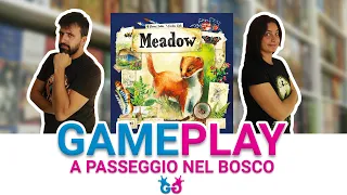 Meadow, Partita Completa al Gioco da tavolo delle passeggiate nei boschi!