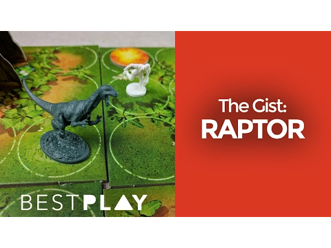 The Gist of Raptor