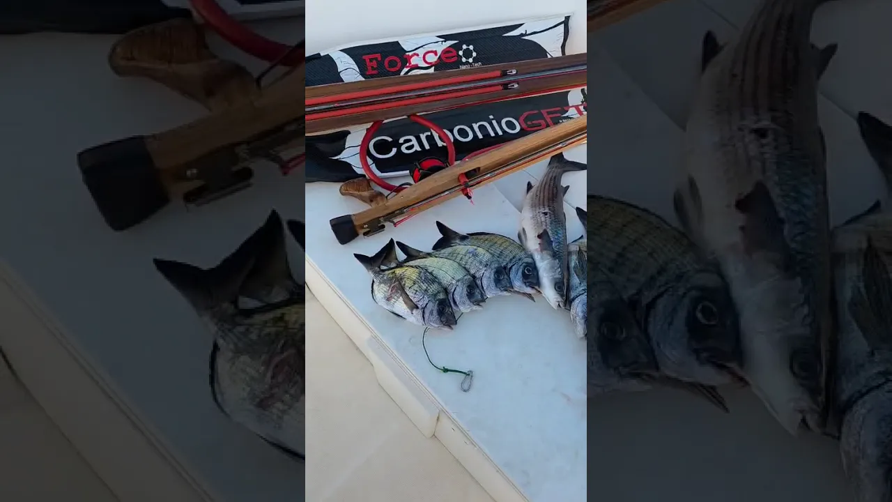 Vignette de la vidéo