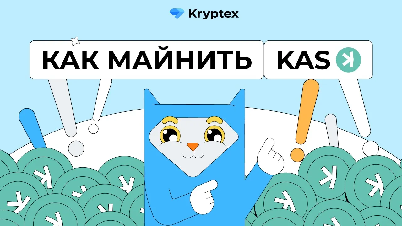 Видеогайды