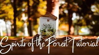LEARN SPIRITS OF THE FOREST IN ~4 MINUTES