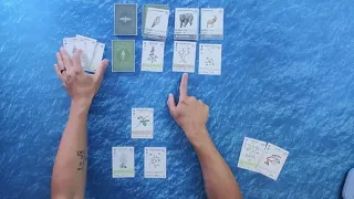 Reforest - Solo Playthrough