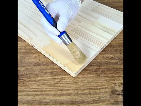 Pincel Redondo Universal Dexter 18mm