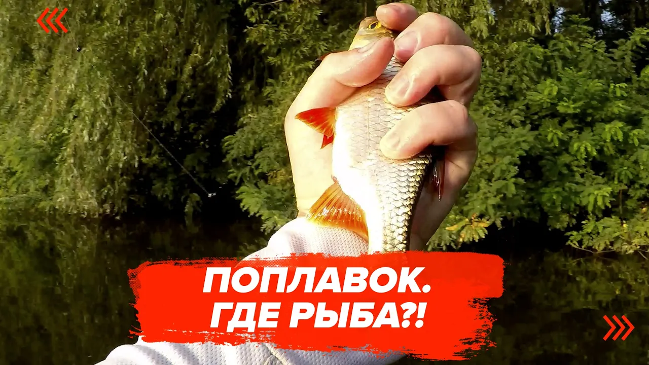 rybalka