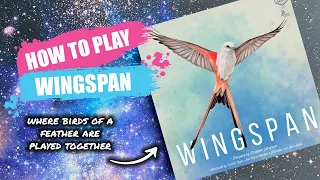 How to Play Wingspan | Concise Board Game Rules & Instructions