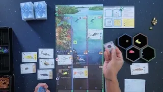 Finspan - Solo Playhthrough #4 w/ Sharks & Reef Expansion