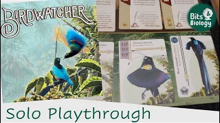 Birdwatcher solo playthrough and thoughts about the game | Bits & Biology