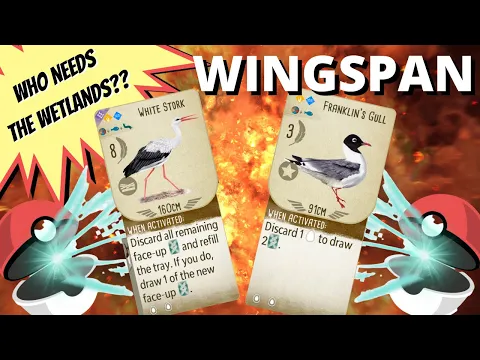 Franklin's Gull AND White Stork??: Wingspan Gameplay Competitive Elo