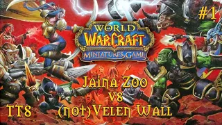 Warcraft Miniatures Game - #1 - Jaina zoo vs (not)Valen Wall - Tabletop simulator