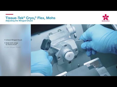 youtube-video-thumbnail