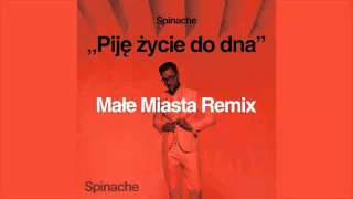Spinache - Piję życie do dna (Małe Miasta Remix) [Audio]