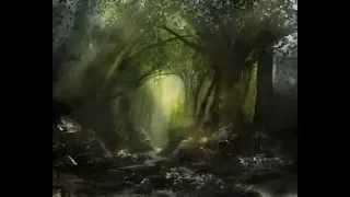 El Señor de los Anillos LCG: A través del Bosque Negro #2