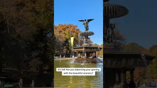 Balancing #boardgames and Beautiful Scenery? Central Park in Fall #CentralPark #FallVibes