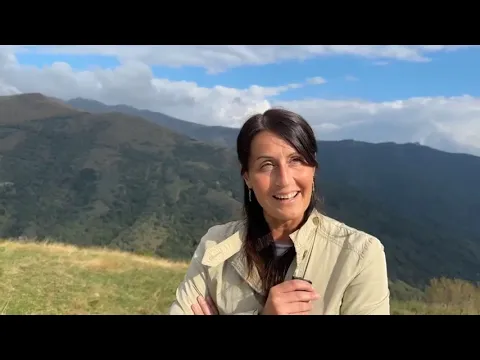 Youtube Preview