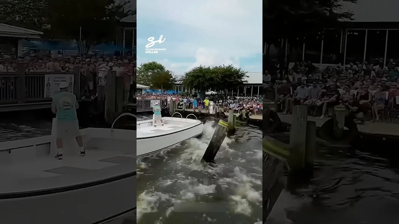 Who knew that docking was an adrenaline sport...? 🚤  #boats #docking #race