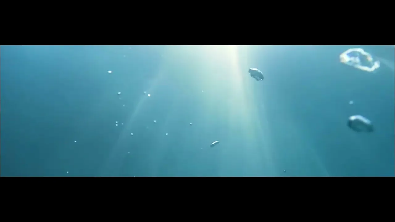 Vídeo de Medalha no Quadro