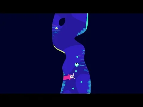 Video Ordia