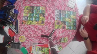 Ecosystem - Gameplay in solitaria
