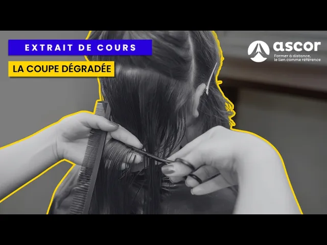 YouTube video preview image
