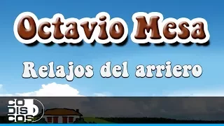Relajos Del Arriero, Octavio Mesa - Audio