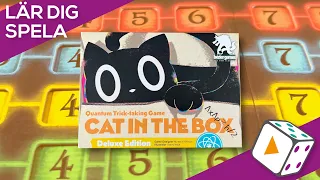 Lär dig spela Cat in the Box!