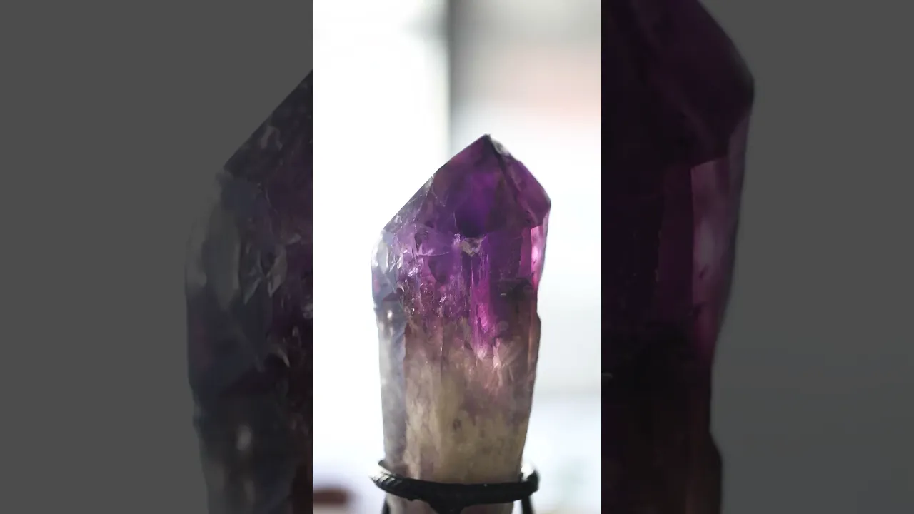 Video de Ámbar mayorista