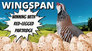 The Power of Partridge: Wingspan Gameplay Competitive Elo