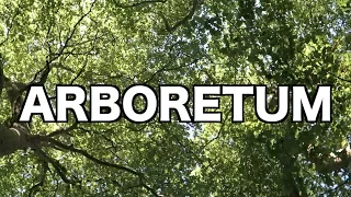 [NTFG] Arboretum - A Beautiful Garden