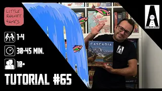 Tutorial #65 (sub ITA): come si gioca a Cascadia (gioco da tavolo edito dalla Little Rocket Games)