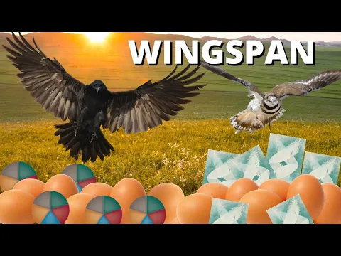 Killdeer Destroyed My Raven: Wingspan Gameplay Competitive Elo