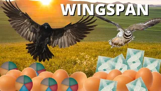 Killdeer Destroyed My Raven: Wingspan Gameplay Competitive Elo