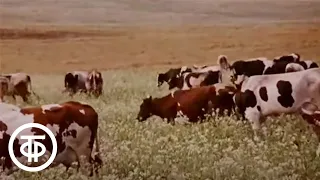 Мамонтовы травы, или Буря в кружке молока (1989)