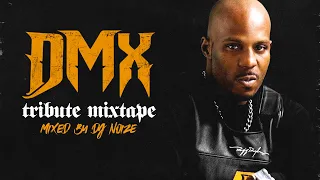 D  M  X  Tribute Mix by DJ Noize