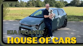 Kia Picanto - Why this car is like a dog.