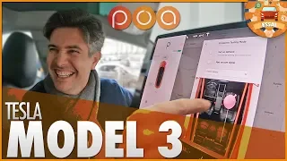 LA TESLA MODEL 3 FAIT PETER 💨