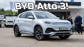 BYD Atto 3 Frist Drive: A Unique EV!