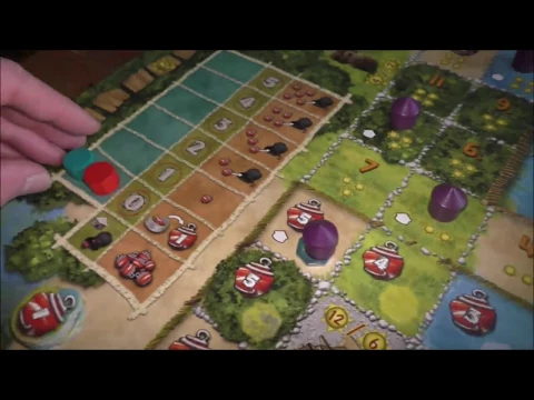 Mangrovia
