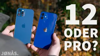 iPhone 12 oder 12 Pro? der große (Kamera) Vergleich!