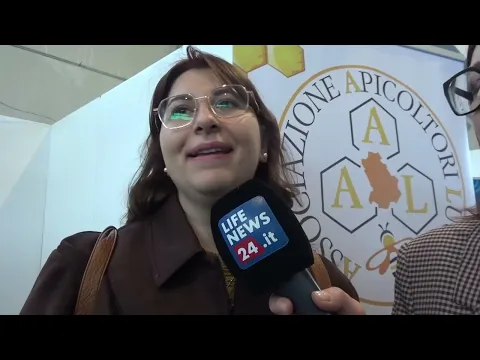 Youtube Preview