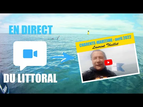 Vignette de la vidéo