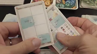 Wingspan Asia Review