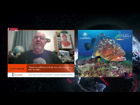 youtube-video-thumbnail