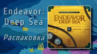 Endeavor: Deep Sea - Unboxing