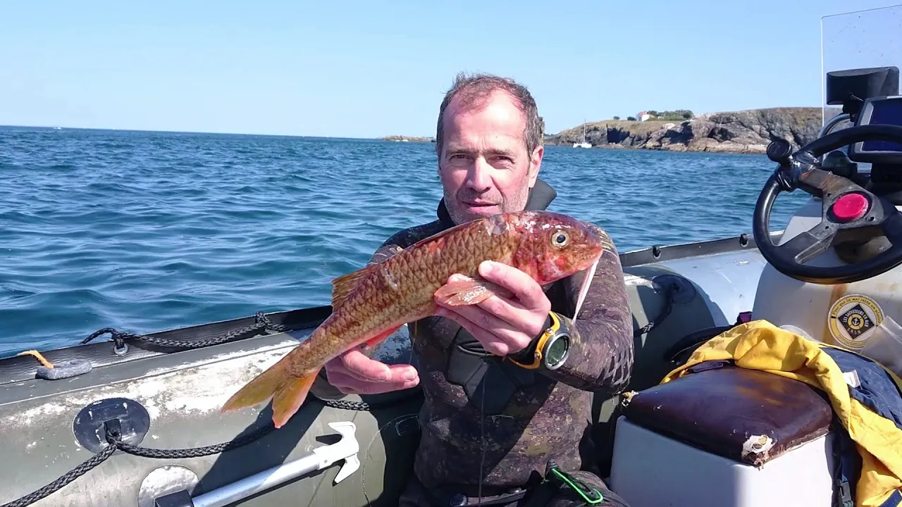 Vignette de la vidéo