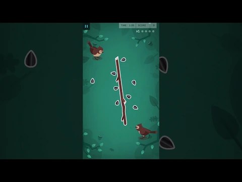 Video Lumosity