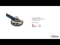 Stéthoscope 3M™ Littmann® Master Cardiology™ 2164 Bleu Marine video